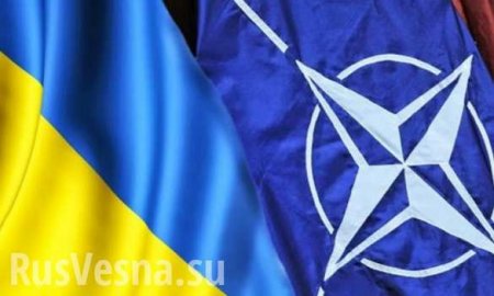 Украина: Статус страны-аспиранта — это отметка на сайте, а не ступень к интеграции, — замгенсека НАТО