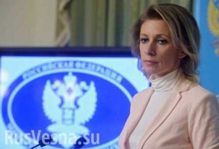 Захарова прокомментировала идею об исключении России из Совбеза ООН