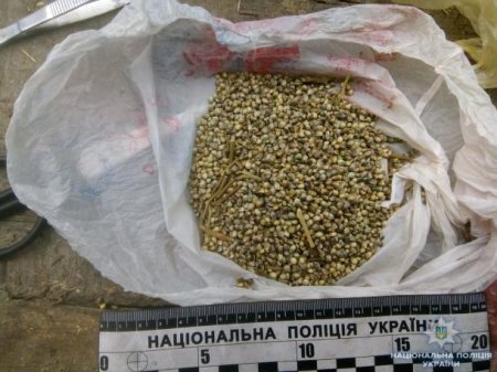 Хихикающий Робин Гуд: Одесская полиция задержала наркомана-арбалетчика