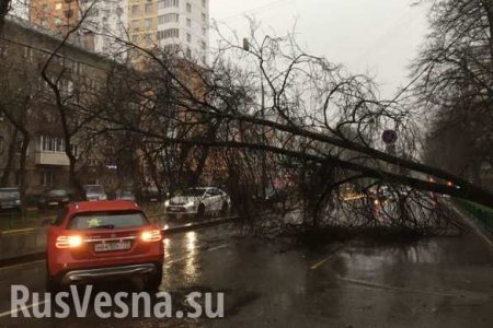 «Новую Москву» накрыла вторая волна урагана