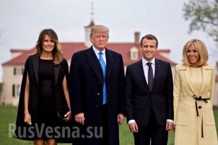 Макрон и Трамп с жёнами посадили хилый дуб (ФОТО, ВИДЕО)