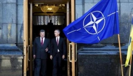 Вознесение Петра Порошенко и НАТО