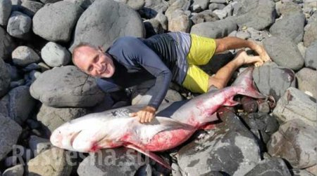 Сёрфер от испуга напал на акулу и убил её (ФОТО)