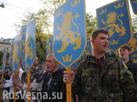 В Киеве заявили, что дивизия СС «Галичина» была лучше Красной армии