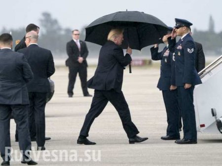 «Ловит сигналы Кремля»: в Сети смеются над Трампом, борющимся с зонтом (ВИДЕО)