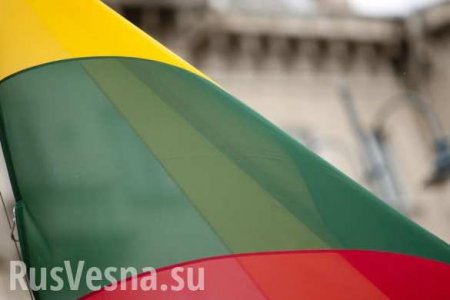 В Литве заговорили об импичменте президенту Грибаускайте