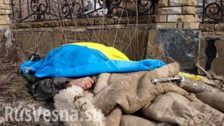 На Донбассе ликвидирован 19-летний «всушник» (ФОТО)