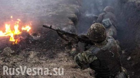 У ВСУ серьёзное ЧП в зоне «ООС»: сводка о военной ситуации на Донбассе (+ВИДЕО, ИНФОГРАФИКА)