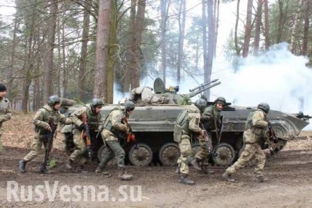 ДНР: Украина умышленно обостряет ситуацию перед началом ЧМ-2018