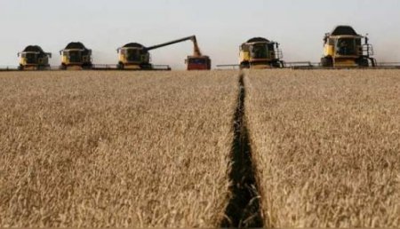 В Минсельхозе дали прогноз по экспорту сельхозпродукции из России