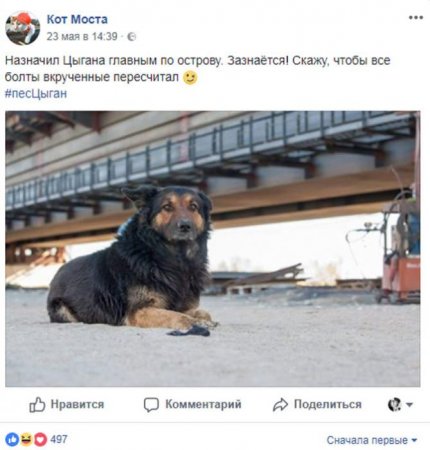 У прилежащего к Крымскому мосту острова Тузла появился смотритель Цыган