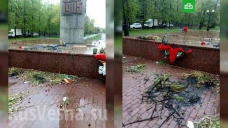 В Челябинске мужчина сжёг венки на мемориале «Защитникам Отечества» (ФОТО)