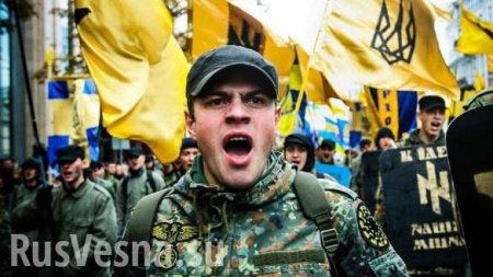 Киевская полиция защищала магазин «Roshen» во время погромов неонацистов (ВИДЕО)