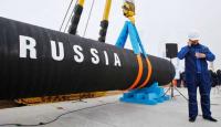 Эксперт прокомментировал заявление «Нафтогаза» об аресте голландских активов «Газпрома»