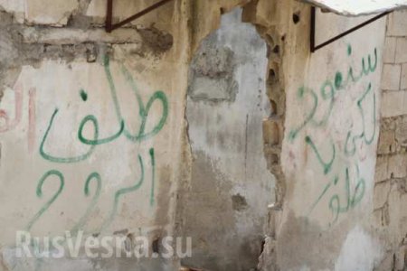 Сирийские «бандеровцы» побросали схроны из-за прихода армии России (ФОТО)