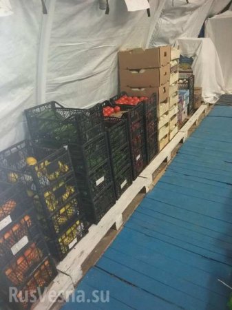 Госпиталь-овощехранилище: ВСУ хранят продукты в военном госпитале, подаренном Канадой (ФОТО, ВИДЕО)
