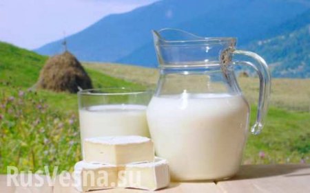 Россия ограничит ввоз молока из Белоруссии