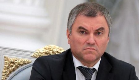 Володин призвал «решить законодательно» проблему оскорблений в СМИ в адрес руководства РФ