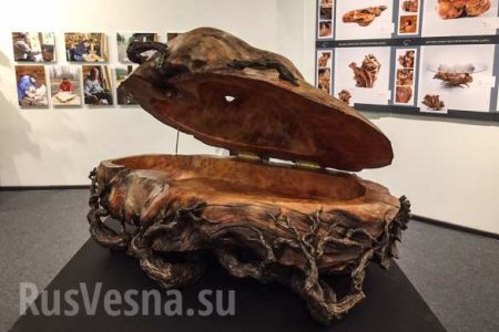 Скульптуры и живопись: Сергей Шойгу впервые показал публике свои художественные работы (ФОТО)