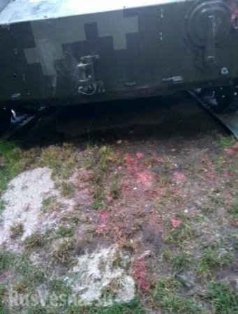 Цэ Украина: Выпускники-десантники устроили жестокое побоище из-за розовой БМД (ФОТО)