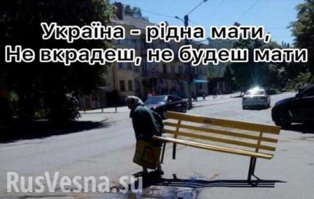 Пенсионерка украла скамейку с центральной площади Черновцов (ФОТО, ВИДЕО)