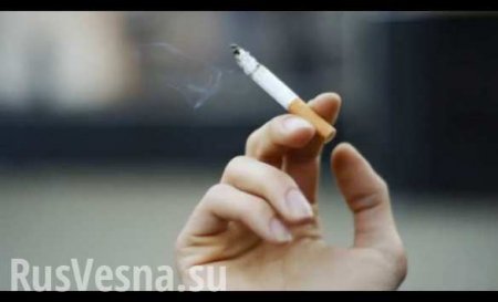 Правительство отказалось запрещать дешевые сигареты