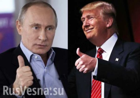 Трамп и Путин могут встретится в следующем месяце в Вене, — СМИ