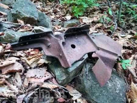 В Ботаническом саду Владивостока найдены обломки советского самолёта (ФОТО)