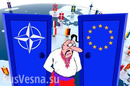 Путь Украины в НАТО — «ведро без дна», — депутат