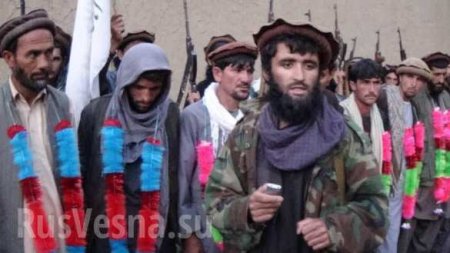 Чудеса и ужас Афгана: талибы и солдаты братаются, а ИГИЛ наносит им удар в спину (ФОТО)