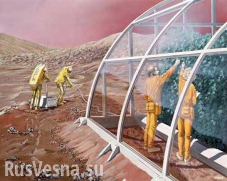 «Аграрная колонизация»: грузины хотят выращивать на Марсе виноград