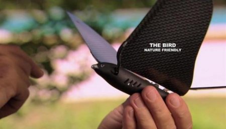 Китай разрабатывает дронов-птиц для незаметного наблюдения