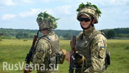 «Киев доиграется в оловянных солдатиков», — в Крыму оценили «манёвры» ВСУ в Херсонской области