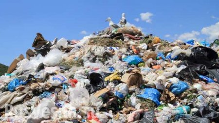 В Госдуме пообещали «мусорный коллапс» десяти регионам России