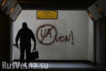 Десятки украинских нелегалов задержаны в Чехии (ФОТО)