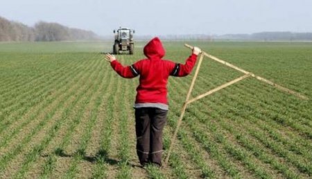 Украинские фермеры от безысходности пишут рейдерам обидные послания на полях 18+
