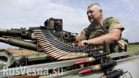В МВД Украины рассказали, с каких районов намерены начать захват Донбасса