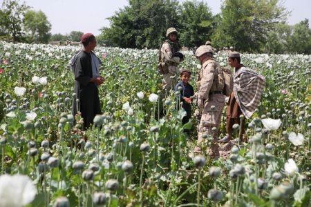 Бойня на границе: Боевики из Афгана рвутся в Туркмению, убивая военных