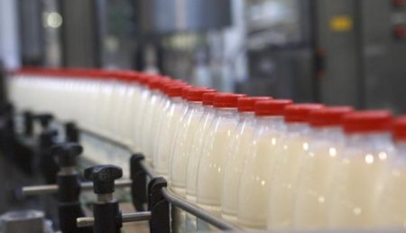 Россия ограничила на свой рынок допуск белорусской молочки