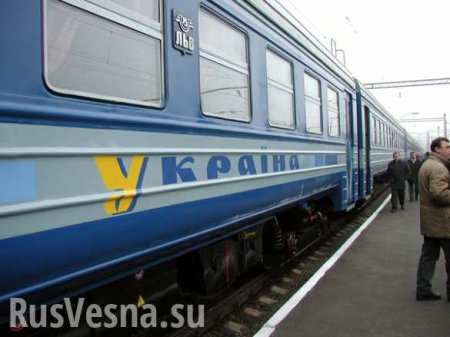 «Остались в венской опере»: 40% выехавших по безвизу украинцев не вернулись на родину