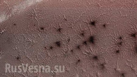 NASA обнародовало фотографию «марсианских пауков» (ФОТО)