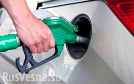 ФАС не ждёт резкого роста цен на бензин
