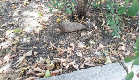 На детской площадке в Краматорске мальчик нашел мину