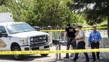 В США четырехлетний ребенок случайно застрелил брата
