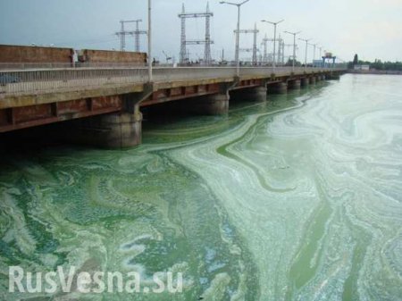 Рак и гепатит: экологи бьют в набат из-за катастрофы с Днепром (ФОТО)
