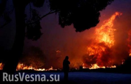 В Греции бушует страшный пожар, гибнут люди (ФОТО, ВИДЕО)