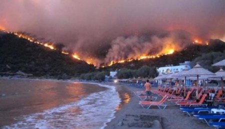 В Греции из-за пожаров погибло 50 человек