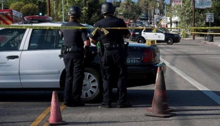 Захваченная в заложники в Лос-Анджелесе женщина погибла от пуль полицейских