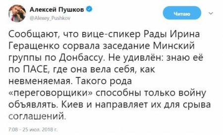 «Невменяемая», — Пушков о вице-спикере Рады, сорвавшей переговоры по Донбассу