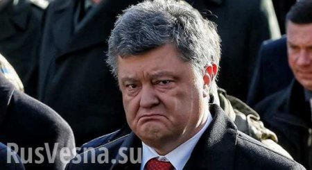 Украина в шоке: СБУ завела дело о госизмене против Порошенко (ДОКУМЕНТ)
